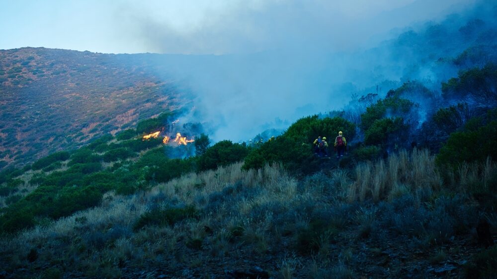 Intervento dei Vigili del Fuoco in Sicilia