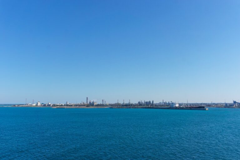 Immagine rappresentativa della blue economy