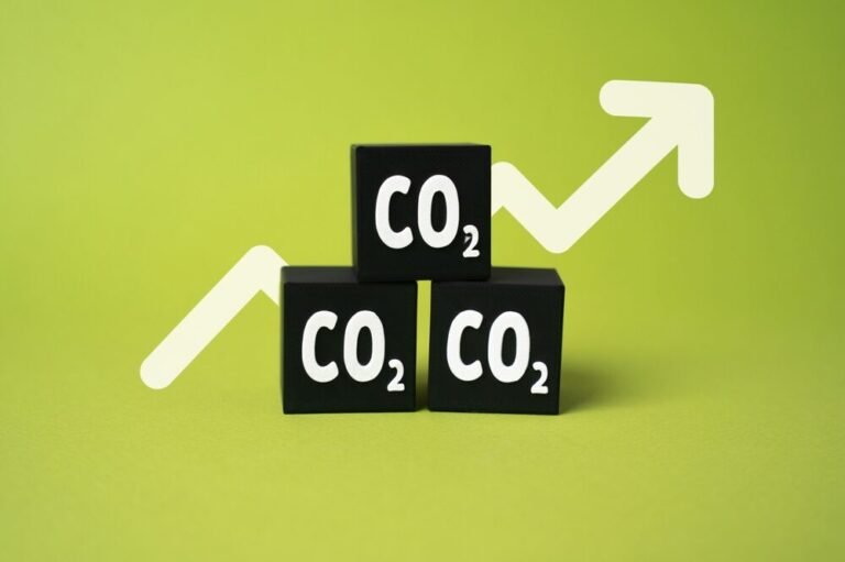 Grafico del prezzo delle quote di CO2 nel mercato Ets