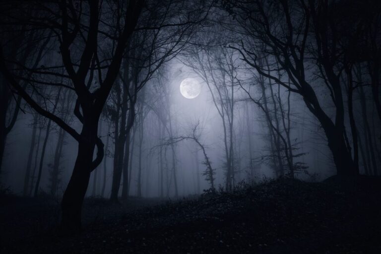 Silent Hill: Townfall - Immersione e gameplay in prima persona