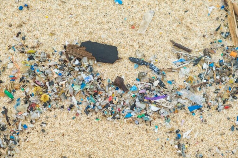 Emergenza plastica in Italia